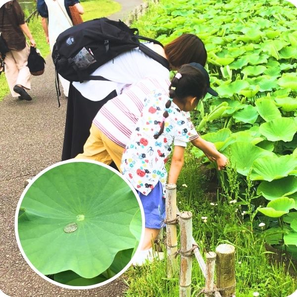Feel度Walkのイメージ