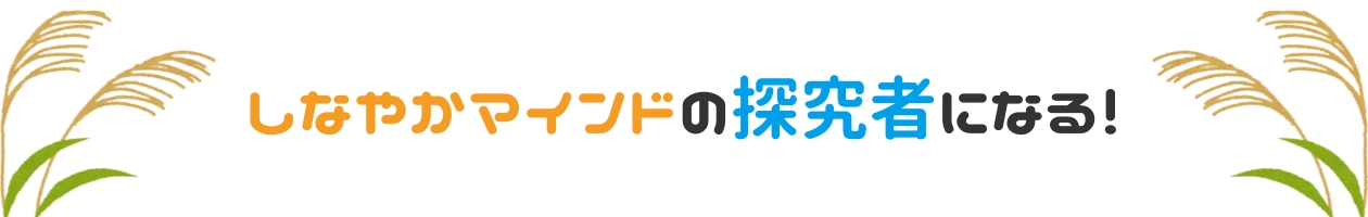 しなやかマインドの真の探究者になる！