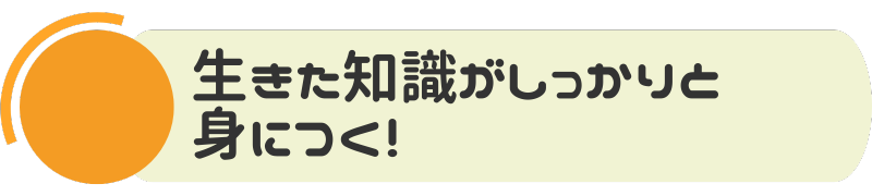 生きた知識がしっかりと身につく！