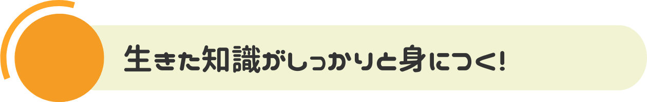 生きた知識がしっかりと身につく！